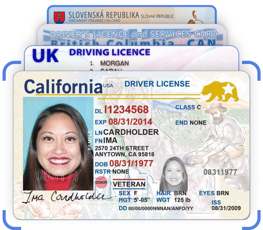 validate drivers license details